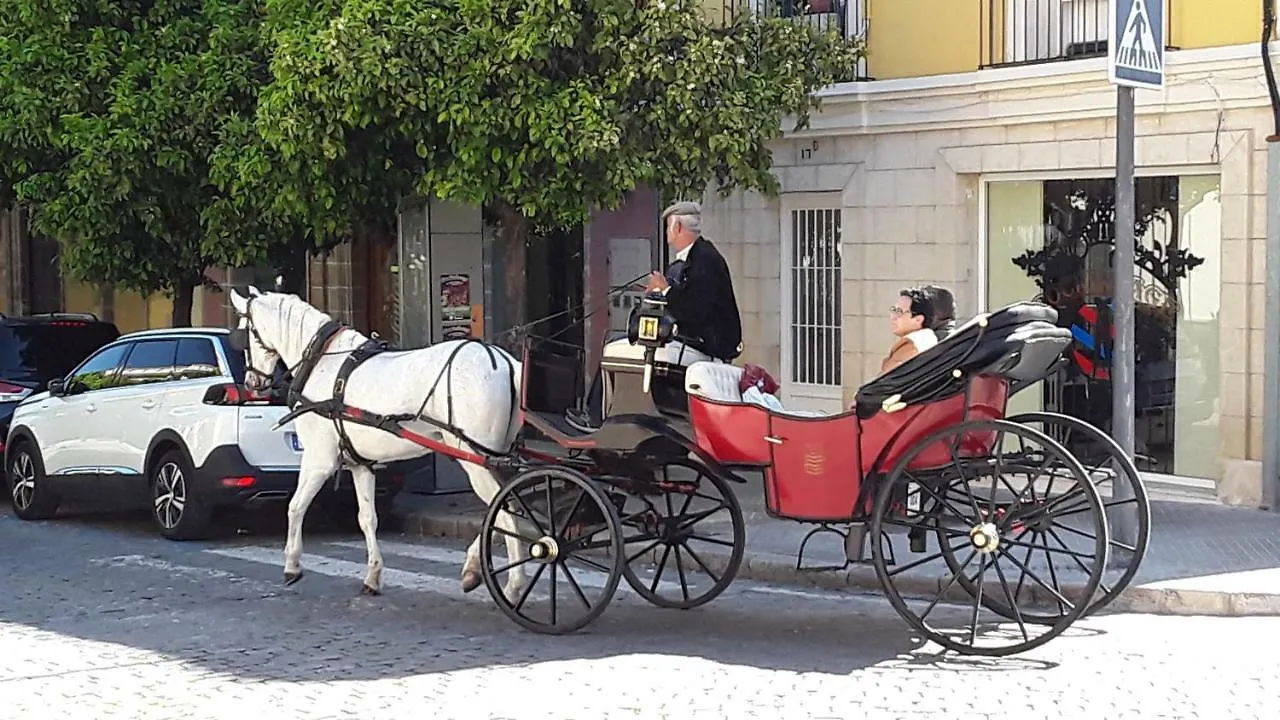 Sherryflat Plaza Del Arenal Apartment Jerez de la Frontera 0*,